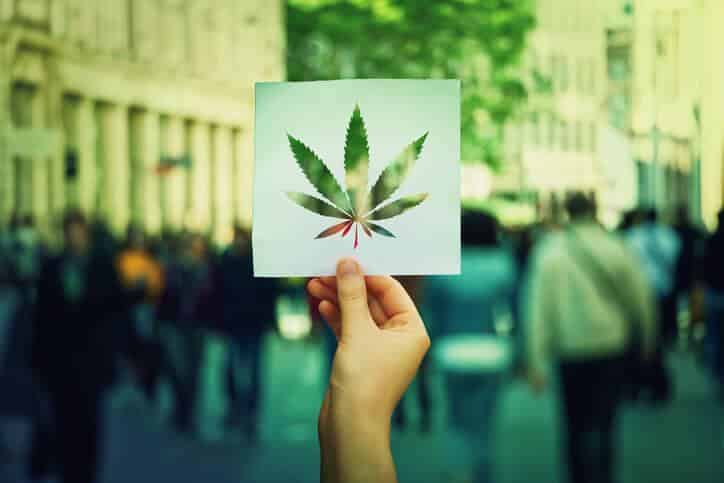 Implementing cannabis education with a creative cannabis campaign.