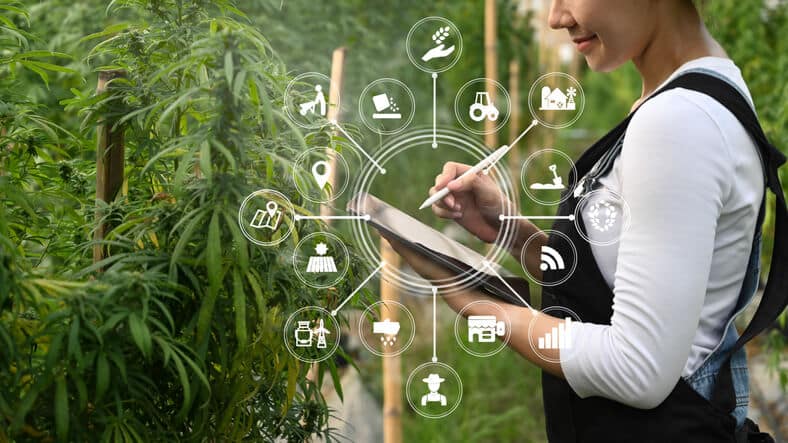 A cannabis industry training graduate utilizing her managerial knowledge when documenting the feedback of a batch of specimens.