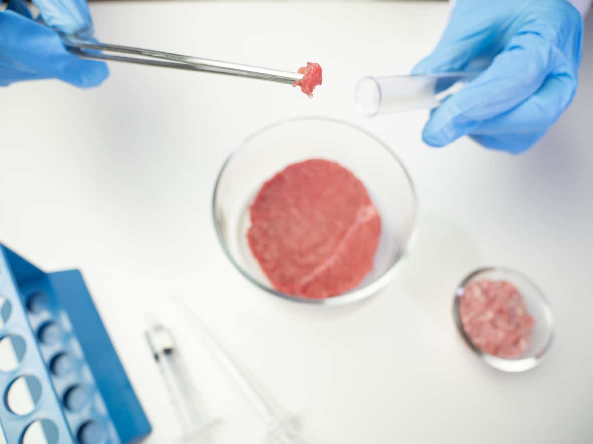 A food safety professional preparing a meat sample for quality testing in Food Safety Training
