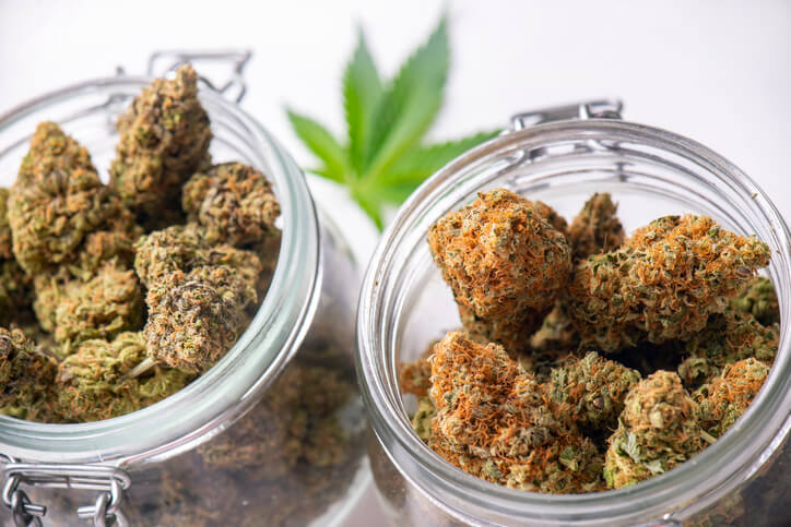 A budtender assisting a customer in a cannabis retail store after completing his online cannabis diploma